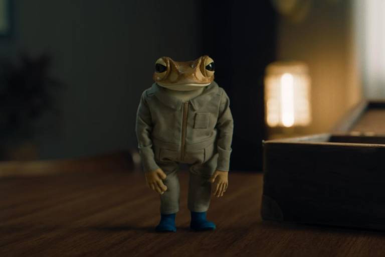 La historia de Concho, el sapo en peligro que aparece en el nuevo álbum de Bad Bunny | Entrevista