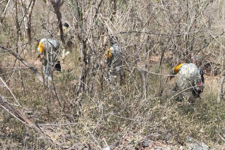 Despliegan a más de 500 elementos para buscar a camarógrafo extraviado en Rosario