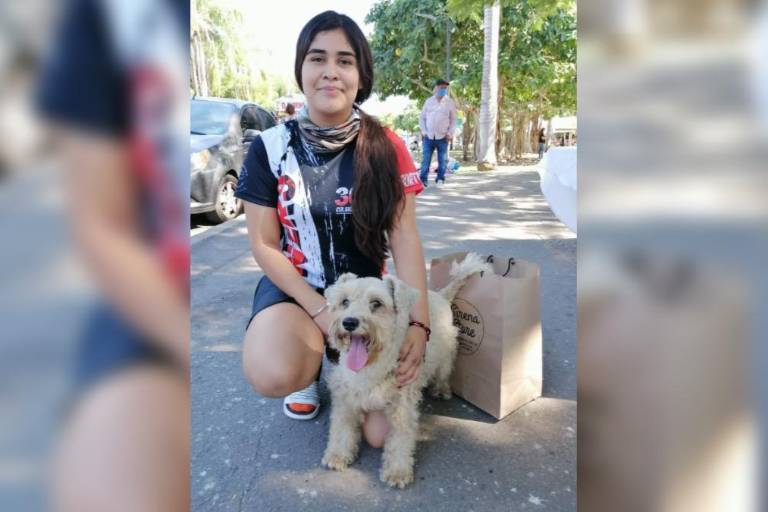 Realizan la tercera edición del Viscocho Bazars, en Culiacán