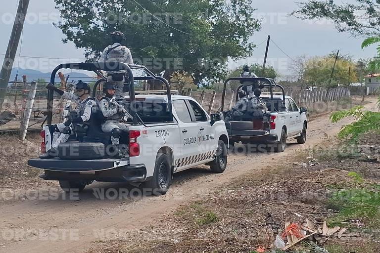 Fuerzas federales resguardan la zona de la fosa clandestina en El Verde, Concordia, mientras continúan las diligencias periciales.