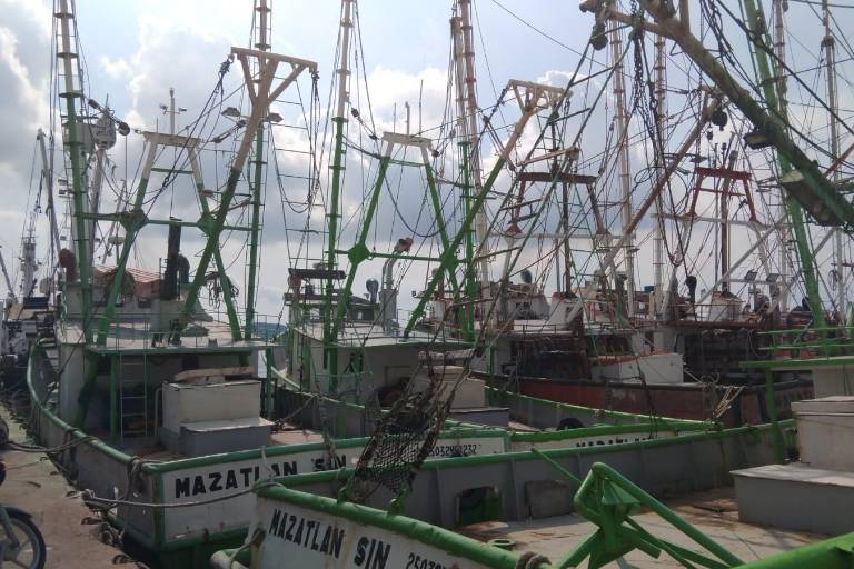 Retrasan avituallamiento de embarcaciones en Mazatlán por extensión de veda de camarón