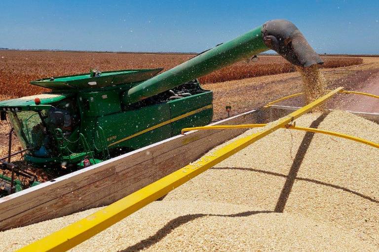 Balance del año 2021 para la agricultura del Valle de Culiacán