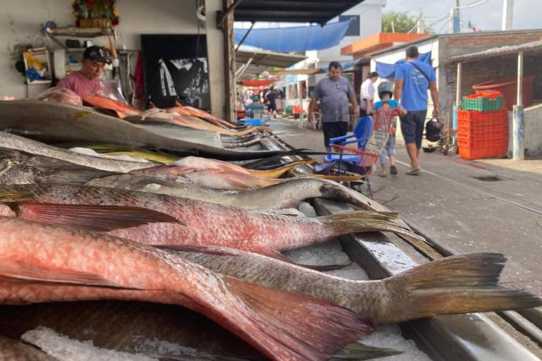 Registran alza en venta de pescado en embarcadero a la Isla de la Piedra