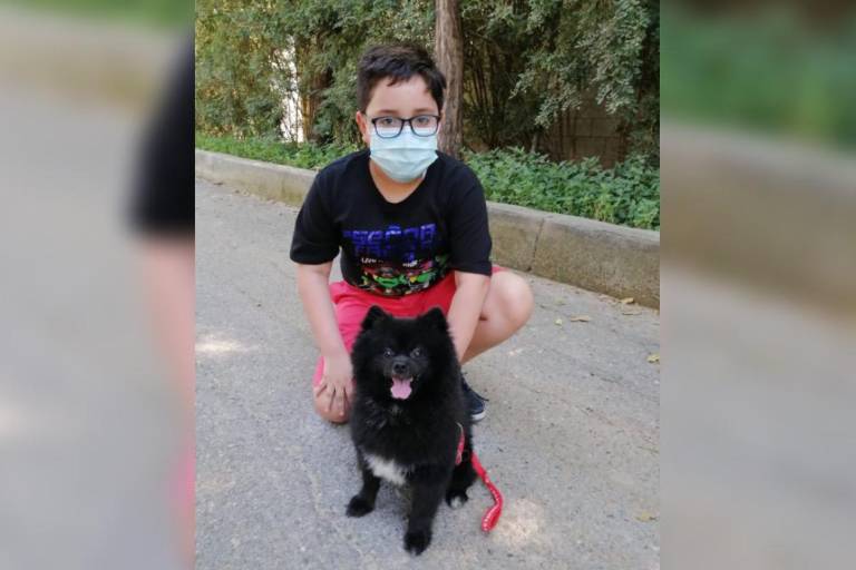 Realizan la tercera edición del Viscocho Bazars, en Culiacán