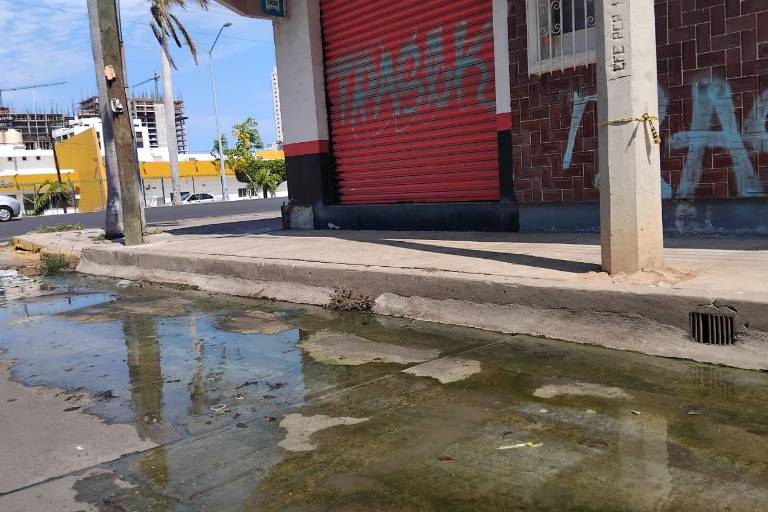 Pestilencia y contaminación deja una fuga de drenaje en la calle Río de la Plata de Campo Bello