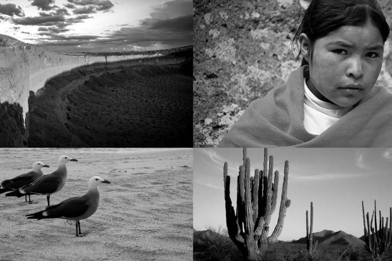 Presentará el sonorense Mario Medina poemario y una exposición en Culiacán