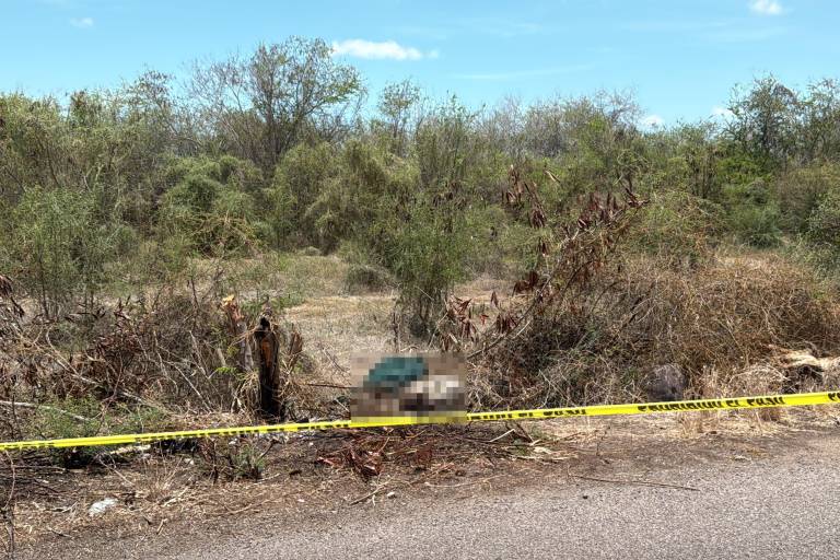 Hallan cuerpo en descomposición en carretera hacia Estación Abuya, al sur de Culiacán