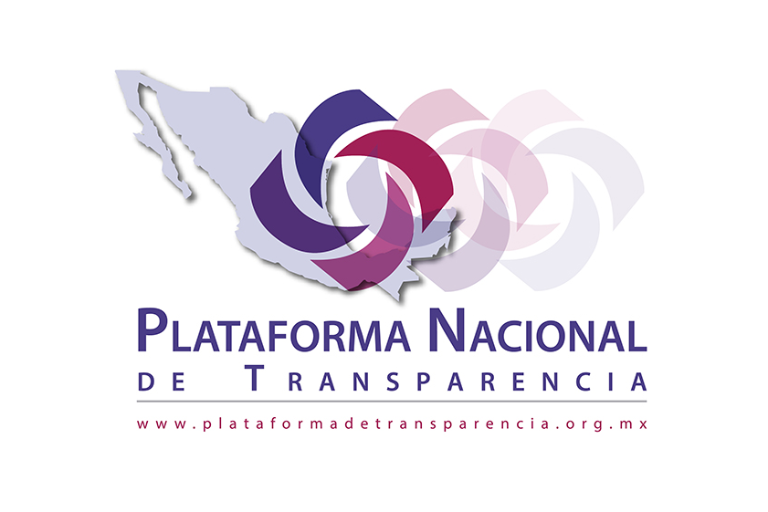Artículo 19 busca resguardar y respaldar la información pública de la Plataforma Nacional de Transparencia
