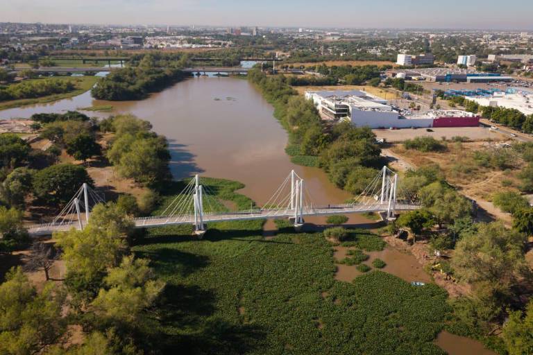 Avanza limpieza de plaga invasora de lirio acuático en el río Humaya
