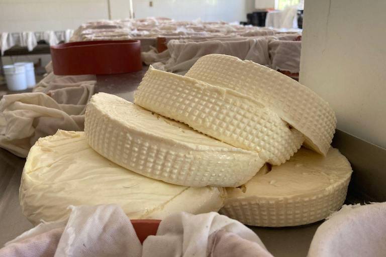 Después de parar la producción por la violencia, los queseros de El Quemado retomaron su producción y entregas