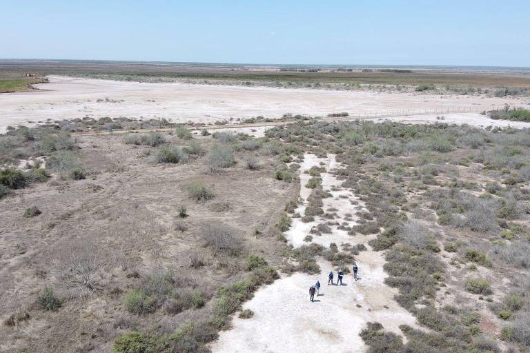 Hacen alianza SUCEDE y PRONATURA para preservar riqueza natural de La Reforma