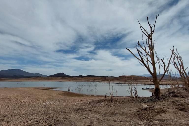 Bacurato, el pueblo que no se dobla ante la sequía