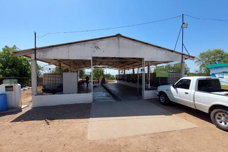 Apuestan por una producción agrícola sana, sustentable y barata