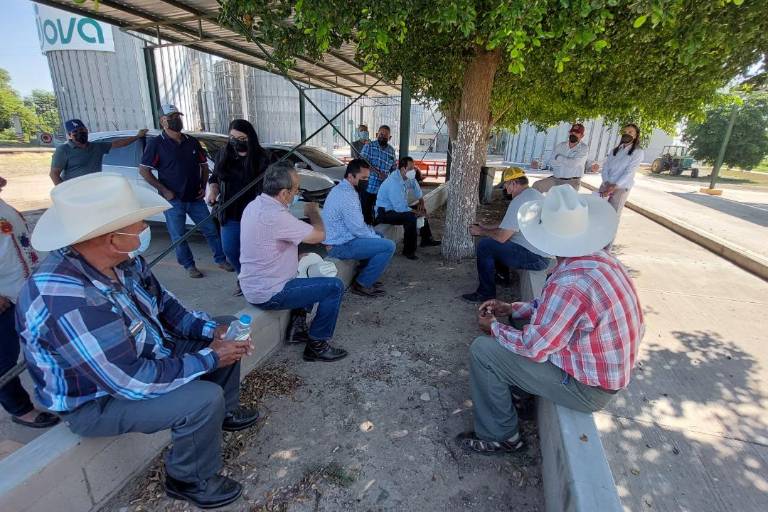 Productores de Guasave reclaman a bodega el pago de utilidad de coberturas
