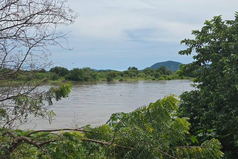 Protección Civil Rosario descarta que las lluvias representen un peligro ante el desfogue de la Presa Santa María