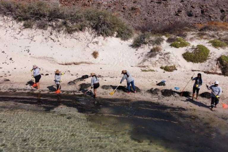 Presentan denuncia ante Profepa por incendio de yate que contaminó playa Balandra