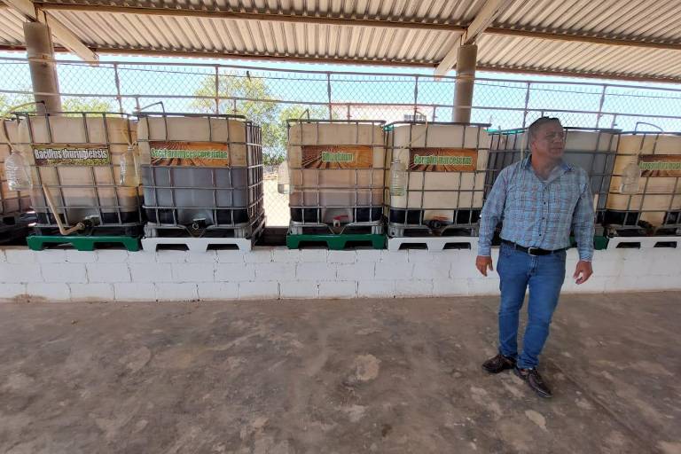 Apuestan por una producción agrícola sana, sustentable y barata