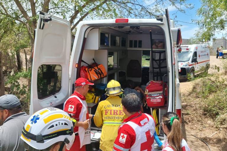 Sufre adulto mayor ataque de abejas en Las Coloradas