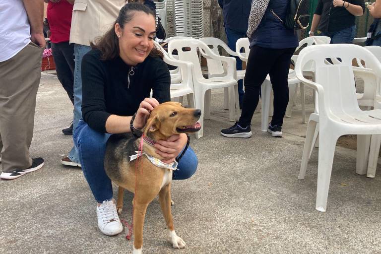 ¡Adopta un lomito! Celebran campaña de adopción y esterilización ‘Huellitas del Bienestar’