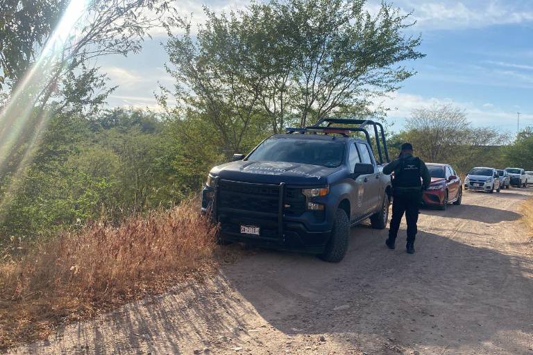 Localizan cadáver calcinado en zona enmontada en la Isla Musala, en Culiacán
