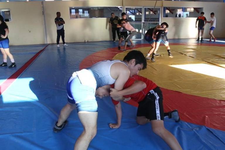 Luchadores de Sinaloa buscan doblar el número de medallas en los Juegos Nacionales Conade