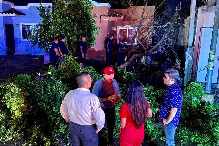 Lluvia y viento provocan caída de más de 60 árboles y anuncios, daños en vehículos y apagones