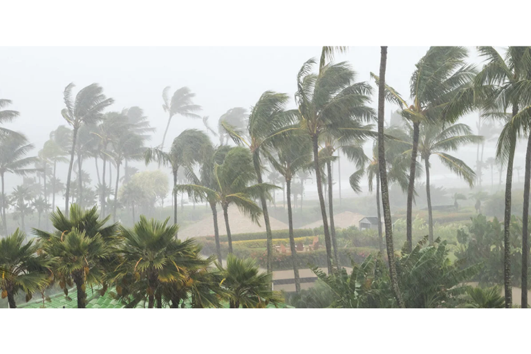 Apoya Salud a países a preparar sus sistemas ante temporada de huracanes