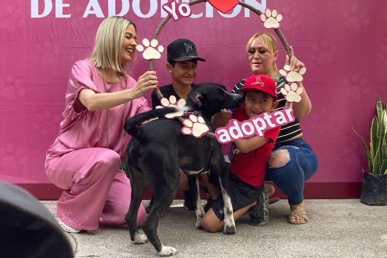 Perritos y un gatito encuentran un nuevo hogar en campaña de adopción en Mazatlán