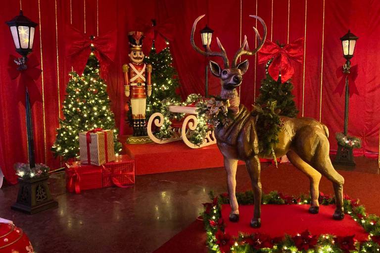 Gran Acuario Mazatlán presenta ‘Tiempos de Navidad’, una experiencia temática para toda la familia