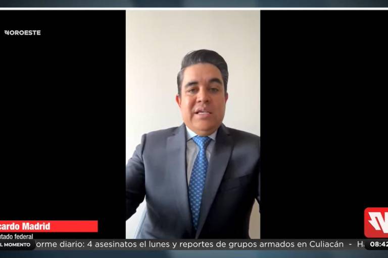 El Partido Verde recuperó su registro en Sinaloa tras elecciones, indica Ricardo Madrid