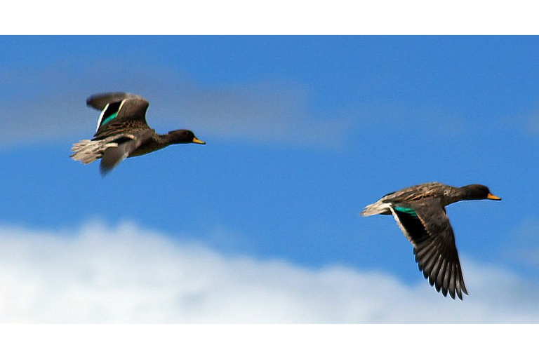 Unesco designa 11 nuevas reservas de la biósfera, dos de ellas en América Latina