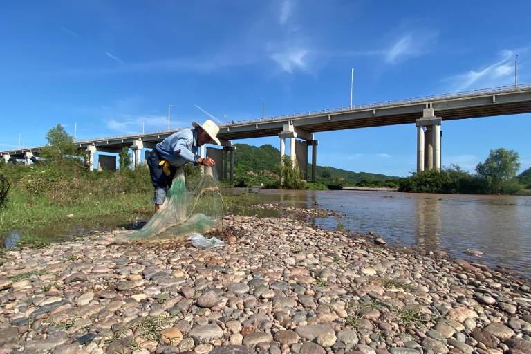 Hermilo busca con su atarraya capturar las bondades del río Baluarte en Rosario