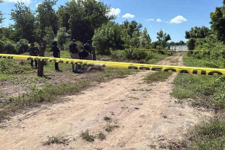 Matan a golpes a un hombre en un predio baldío de Eldorado