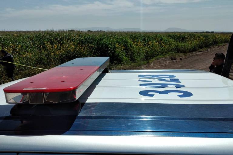 Presume la SSPC federal baja en homicidios y feminicidios durante abril