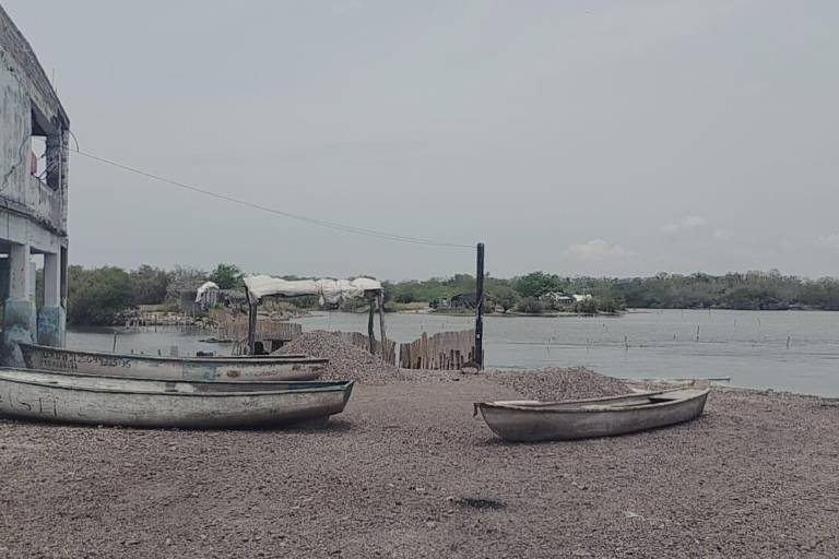 Pescadores de Rosario están a la espera de definir si se extenderá la veda del camarón