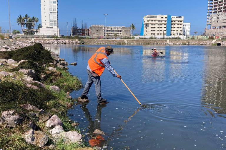 Realizan bardeado de Parque Central y retiran sargazo de la Laguna del Camarón