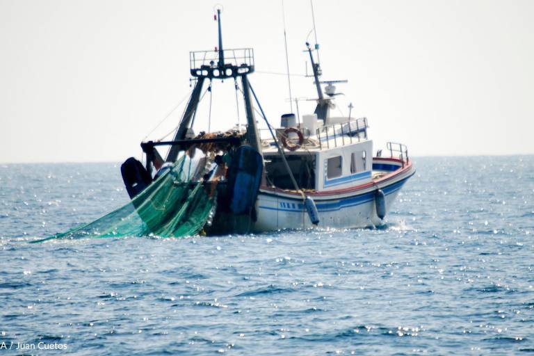 EU da respiro a pesca mexicana al no imponer sanciones: Oceana
