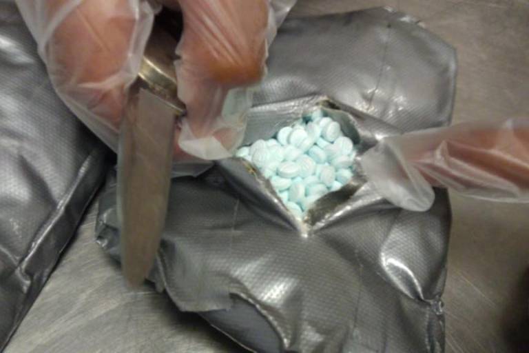 Urge Diputada a cerrar filas contra el fentanilo en Sinaloa