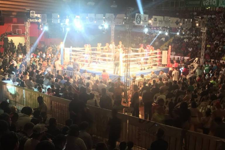 JD Promotions planea gran cartelera boxística, en alianza con Grind Hard