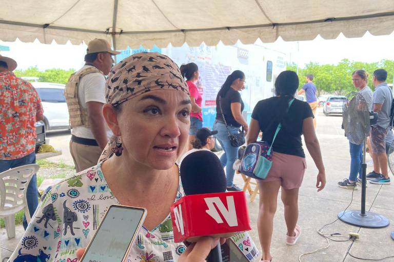 Busca Ecología de Mazatlán educar sobre ataques de enjambres de abejas