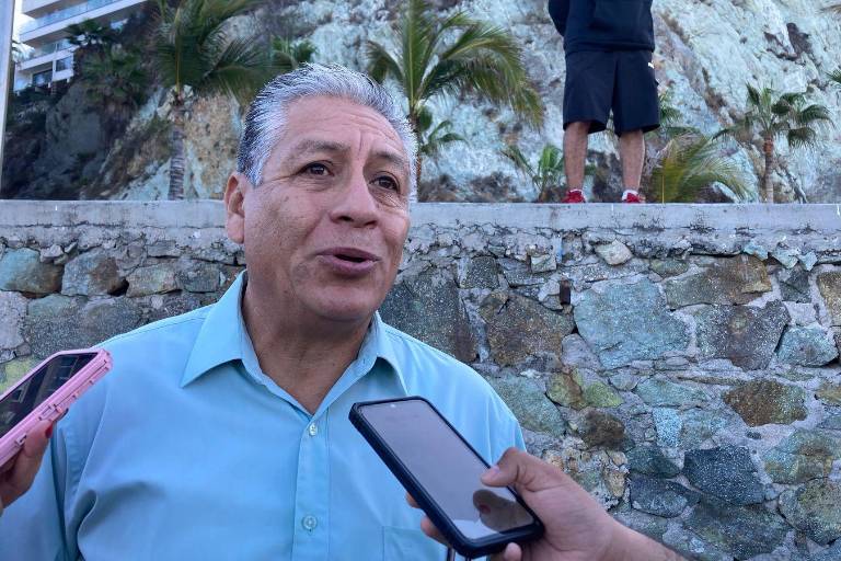 ‘Reinstalación del Comité de varamiento Marino ayudaría a entender las causas de muertes de ballenas’, señala Operadora de Playas