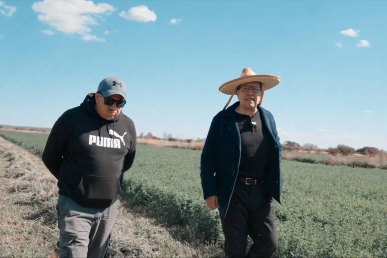 Morena presentará en enero iniciativa para prohibir maíz transgénico pese a disputa con EU