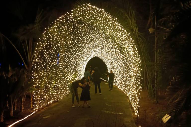 Llega la Navidad al Jardín Botánico de Culiacán