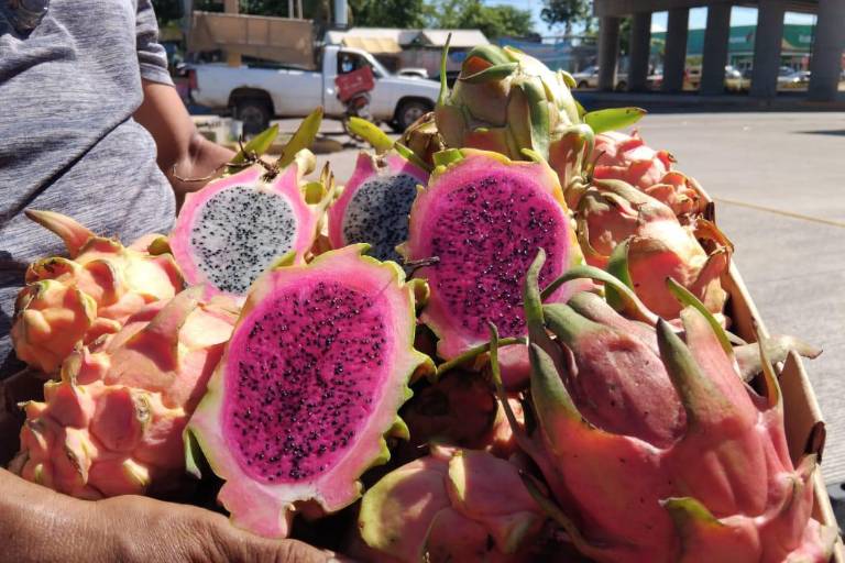Llega la pitahaya saludable y de temporada a los cruceros de Mazatlán
