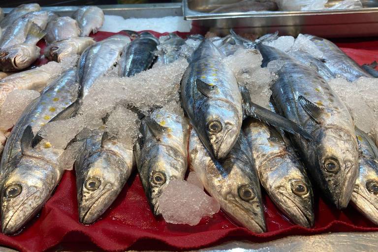 Lenguado, curvina, marlin y camarones, lo más buscando en Mazatlán para preparar platillos durante la Cuaresma