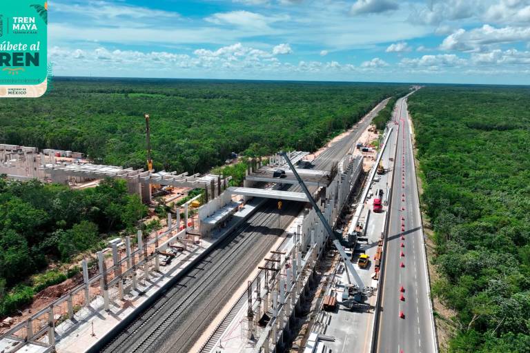 Reconoce Gobierno de AMLO que taló más de 7 millones de árboles para el Tren Maya