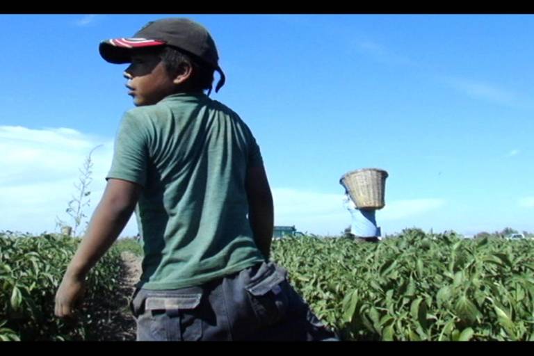 Este miércoles 13, exhibirán Los herederos en La Casa del Maquío