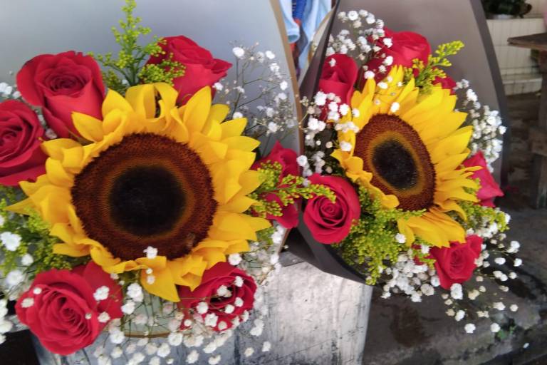 Anticipan floristas de Mazatlán un auge en ventas por el ‘Efecto Floricienta’