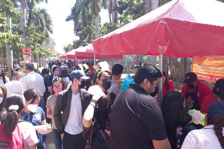 En Culiacán celebran el Día del Taco
