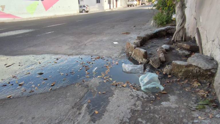Fuga de aguas negras en la calle Belisario Domínguez, casi esquina con Luis Zúñiga, en el Centro de Mazatlán.